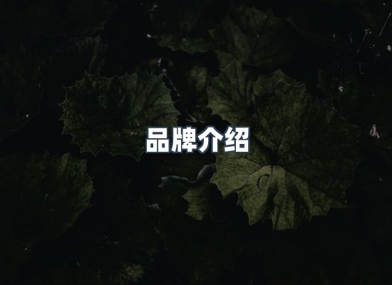 品牌介绍