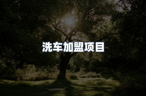 洗车加盟项目
